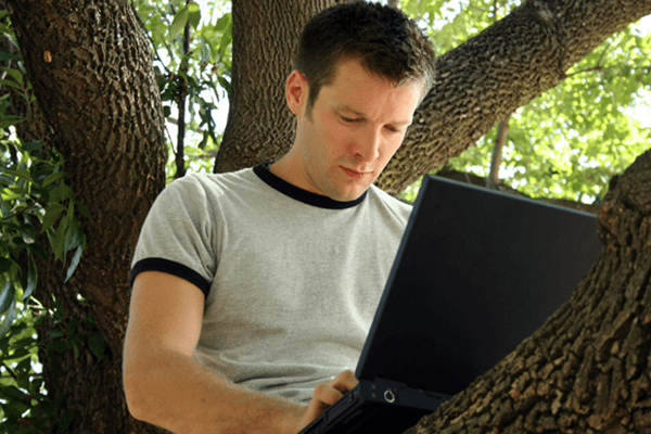 translator in a tree