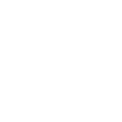 Translation Services Icon