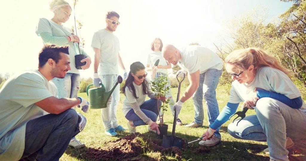 people planting